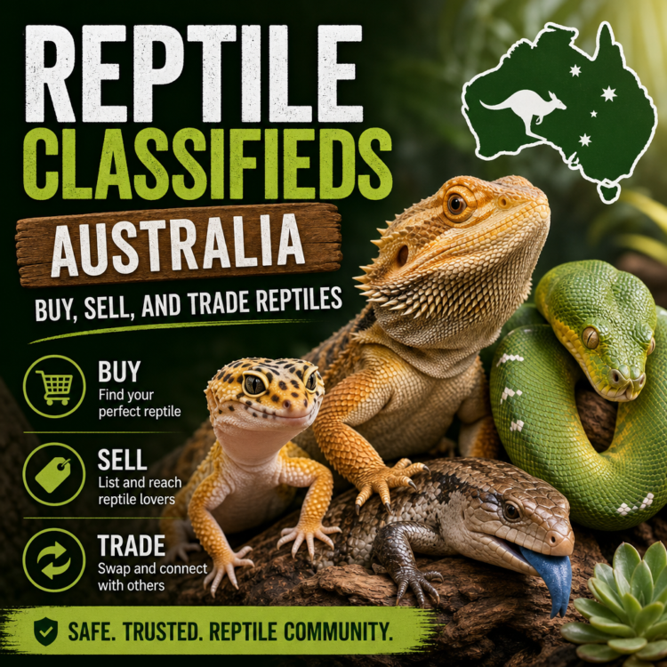 Reptile Classifieds Australia featuring a bearded dragon, leopard gecko, blue-tongued skink, and green snake beside a map of Australia
