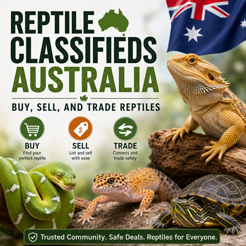 Australian reptile classifieds listing snakes and lizards for buy, sell, and trade.